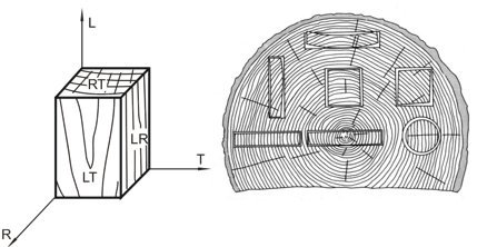 orientación de la fibra de la madera